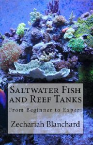 Download Saltwater Fish and Reef Tanks: From Beginner to Expert pdf, epub, ebook