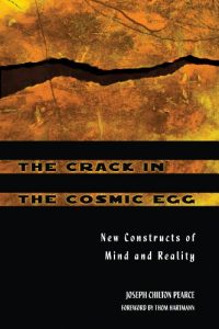 Download The Crack in the Cosmic Egg: New Constructs of Mind and Reality pdf, epub, ebook