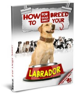 Download How to Breed your Labrador Responsibly pdf, epub, ebook