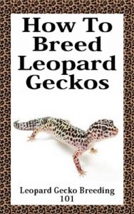 Download How To Breed Leopard Geckos – Complete Guide On How To Breed Leopard Geckos: Leopard Gecko Breeding 101 pdf, epub, ebook