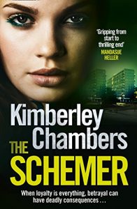 Download The Schemer pdf, epub, ebook