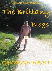 Download French Impressions: The Brittany Blogs pdf, epub, ebook