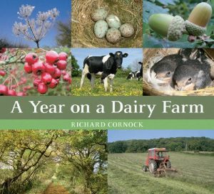 Download A Year on a Dairy Farm pdf, epub, ebook