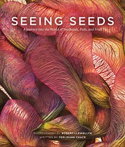 Download Seeing Seeds: A Journey into the World of Seedheads, Pods, and Fruit (Seeing Series) pdf, epub, ebook