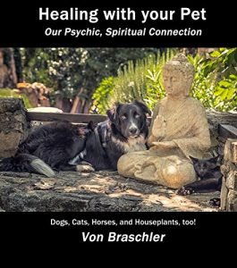 Download Healing with your Pet: Our Psychic, Spiritual Connection pdf, epub, ebook