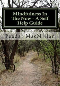 Download Mindfulness In The Now – A Self Help Guide pdf, epub, ebook