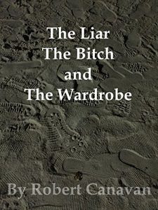 Download The Liar, The Bitch and The Wardrobe pdf, epub, ebook