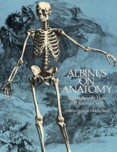 Download Albinus on Anatomy (Dover Anatomy for Artists) pdf, epub, ebook