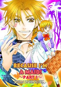 Download BECAUSE I’M A MAID! Episode 3: A SCRAMBLE FOR KAREN!? A BROTHER’S LOVE KNOWS NO BOUNDS. pdf, epub, ebook