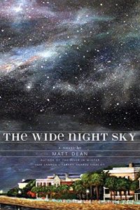 Download The Wide Night Sky pdf, epub, ebook