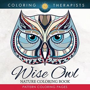 Download Wise Owl Nature Coloring Book: Pattern Coloring Pages (Owl Designs and Art Book Series) pdf, epub, ebook
