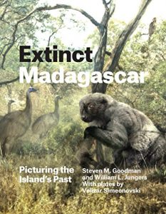 Download Extinct Madagascar: Picturing the Island’s Past pdf, epub, ebook