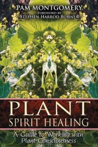 Download Plant Spirit Healing: A Guide to Working with Plant Consciousness pdf, epub, ebook