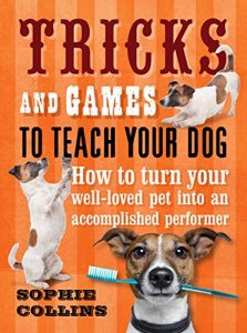 Download Tricks and Games to Teach Your Dog: How to Turn Your Well-loved Pet into an Accomplished Performer pdf, epub, ebook