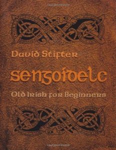 Download Sengoidelc: Old Irish for Beginners (Irish Studies) pdf, epub, ebook