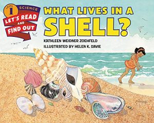 Download What Lives in a Shell? (Let’s-Read-and-Find-Out Science 1) pdf, epub, ebook