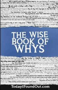 Download The Wise Book of Whys pdf, epub, ebook