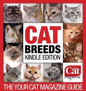 Download Cat Breeds – The Your Cat Magazine Guide pdf, epub, ebook