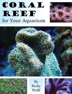 Download Coral Reef for Your Aquarium pdf, epub, ebook