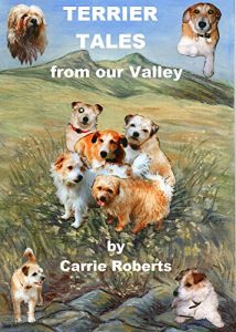 Download Terrier Tales from our Valley pdf, epub, ebook