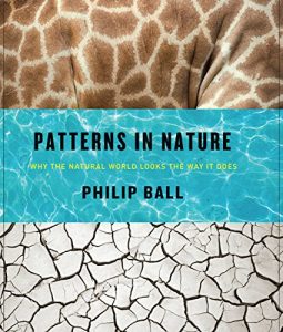Download Patterns in Nature: Why the Natural World Looks the Way It Does pdf, epub, ebook