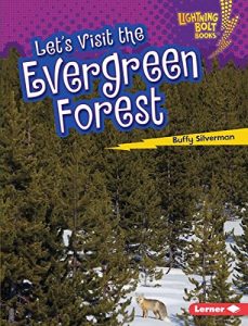 Download Let’s Visit the Evergreen Forest (Lightning Bolt Books TM – Biome Explorers) pdf, epub, ebook