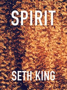 Download Spirit: A “Straight” Holiday Novella pdf, epub, ebook