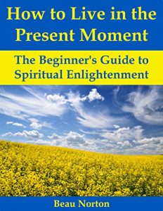 Download How to Live in the Present Moment: The Beginner’s Guide to Spiritual Enlightenment pdf, epub, ebook