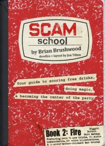 Download Scam School Book 2: Fire pdf, epub, ebook