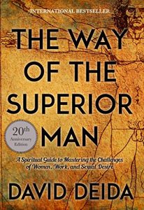 Download The Way of the Superior Man: A Spiritual Guide to Mastering the Challenges of Women, Work, and Sexual Desire pdf, epub, ebook
