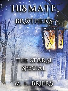 Download His Mate – Brothers – The Storm Special pdf, epub, ebook