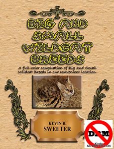 Download Big and Small Wildcat Breeds pdf, epub, ebook