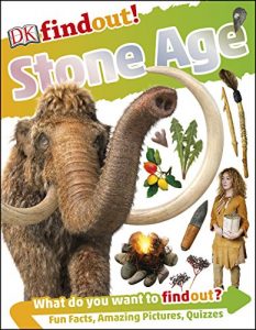 Download Stone Age (DK Findout!) pdf, epub, ebook