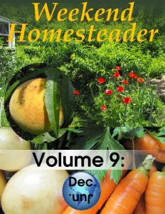 Download Weekend Homesteader: December pdf, epub, ebook