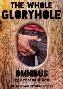 Download The Whole Gloryhole Omnibus: Four Tales of Bisexual Glory, Worshipping at the Hole pdf, epub, ebook