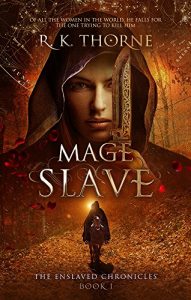 Download Mage Slave (The Enslaved Chronicles Book 1) pdf, epub, ebook