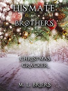 Download His Mate – Brothers – Christmas Cracker pdf, epub, ebook